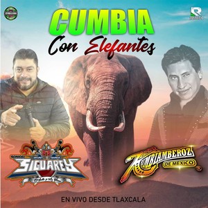 Cumbia Con Elefantes (En Vivo Desde Tlaxcala)