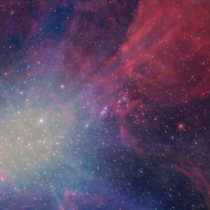 Bliss Looper - Rapture