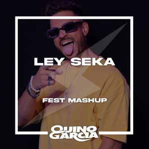 Ley Seka (Fest Mashup) (Explicit)