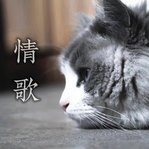 一个人唱歌