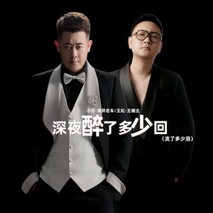 深夜醉了多少回（流了多少泪）