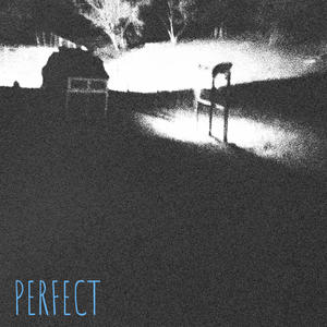 PERFECT (feat. YSK ZION)