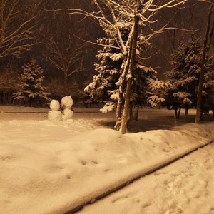 管培浩 - 一日三秋