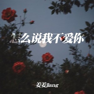 怎么说我不爱你 (节奏版)