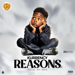 Reasons (Explicit)