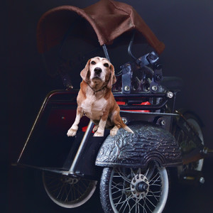Anjing Banget (Urwelmusic Remix|Explicit)