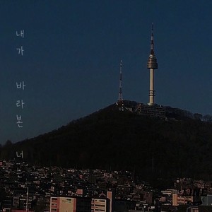 내가 바라본 너는