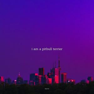 i am a pitbull terrier