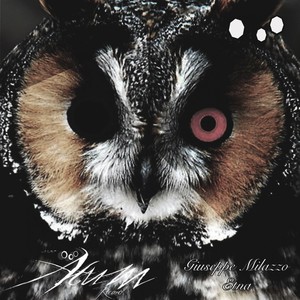 Beat Effect (Original Mix)