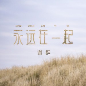 谢群 - 女人心你伤不起