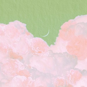 是非题-小野来了