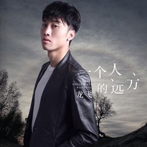 一个人的远方封面