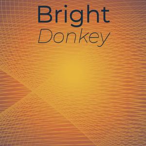 Bright Donkey