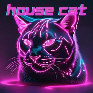 House Cat