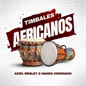 Timbales Africanos