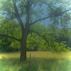 1night(feat. rouri404) (Explicit)