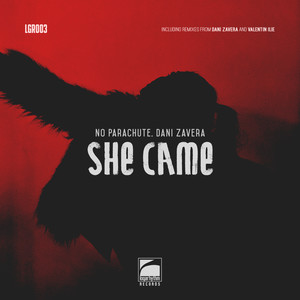 She Came (Valentin Ilie Here We Go Again Remix)