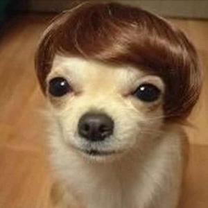 STAUNCHY DOGZ(feat. Ezra The Messenger) (Explicit)