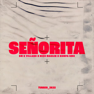 Señorita (Remix)