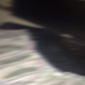 get at the nikka (feat. bink) (Explicit)