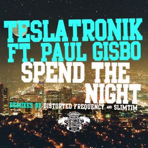 Spend The Night (Distorted Frequency & Slimtim Remix)