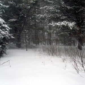 Hysteria Diaboli Pater