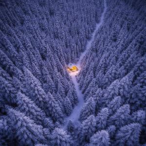 cabin fever (Explicit)