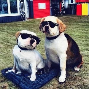 Not What You Thought