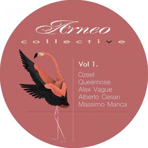 Arneo Collective, Vol. 1