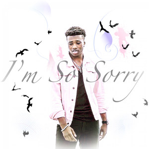 I'm So Sorry (Explicit)
