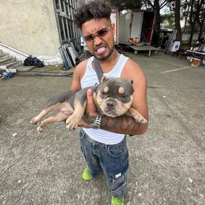 SUBMARINER 2.0 (Explicit)