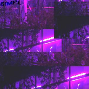 nuisance/home+ rmx(feat. pandi) (Explicit)