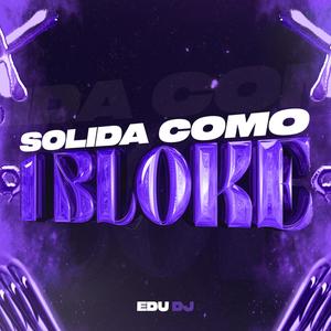 Solida Como 1 Bloque