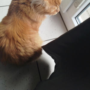 Für meine mama ich Weine  danke für alles