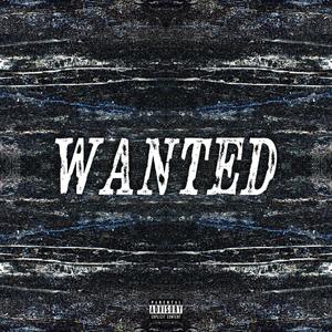 Wanted (Explicit)