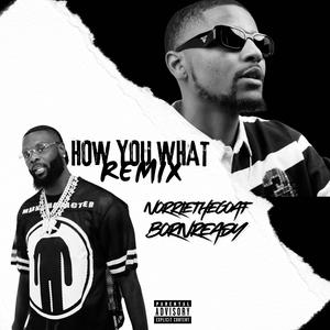 How You What (feat. BornReady) (Remix|Explicit)
