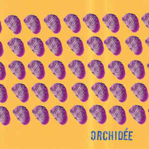 Orchidée