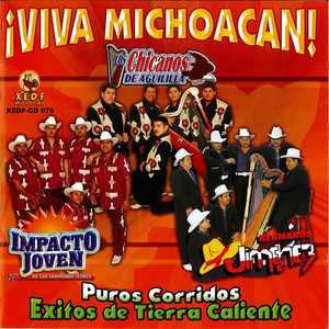 Viva Michoacan