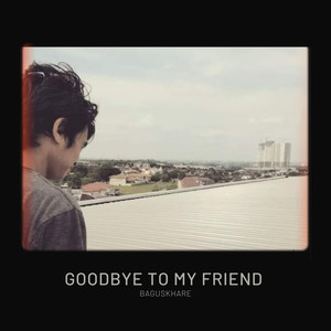 Goodbye to my friend (Acoustic)
