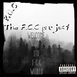 The FCC Project (Explicit)