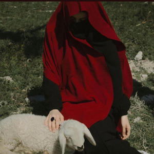 Battle with Our Hearts (feat. Access Denied) (Explicit)