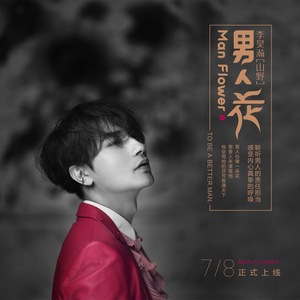 男人花封面