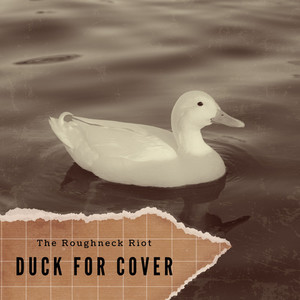 Duck For Cover