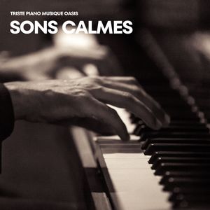 Sons Calmes: Piano Méditation