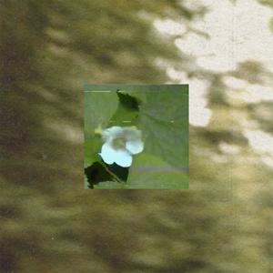 Favourite Memories (Wildfire)