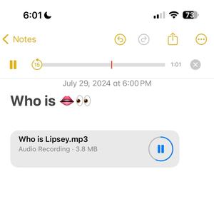 Who is LIPSEY? (Explicit)