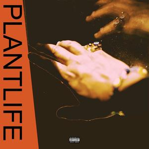 PLANTLIFE (Explicit)