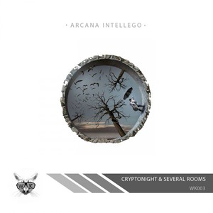 Arcana Intellego E.P