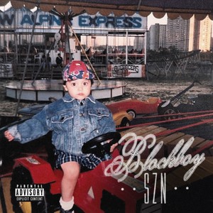 BANS FLOW (Explicit)