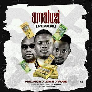 Amaluzi pepani (feat. Malinga Mafia & Vube) (Explicit)